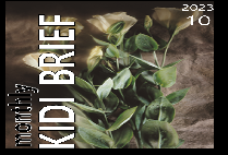 보험개발원 Monthly KIDI BRIEF (2023년 10월)
