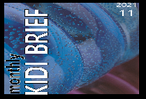 보험개발원 Monthly KIDI BRIEF (2023년 11월)