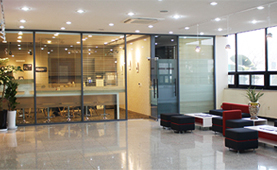 Head Office